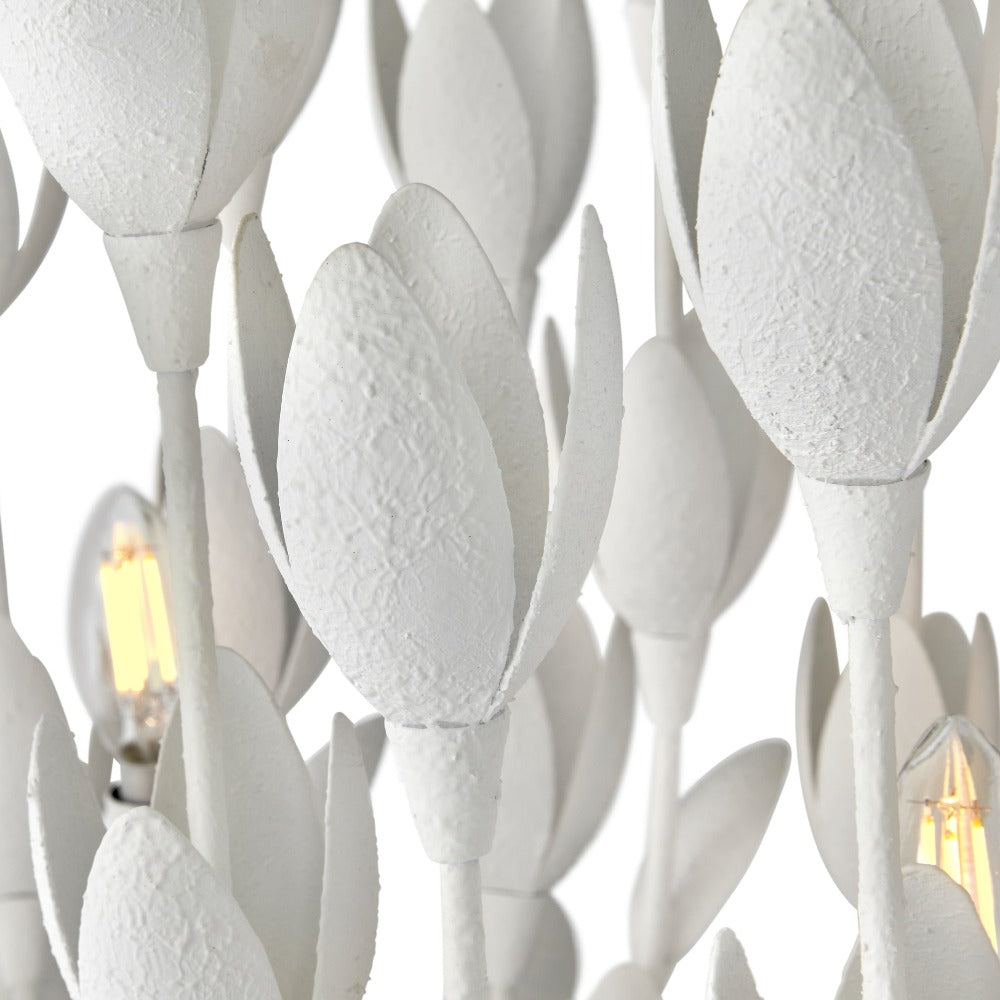 Plaster White Detail Shot