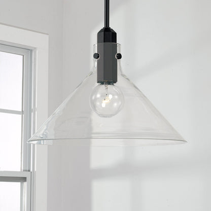 Baxter 1-light Pendant, Pendant, Black