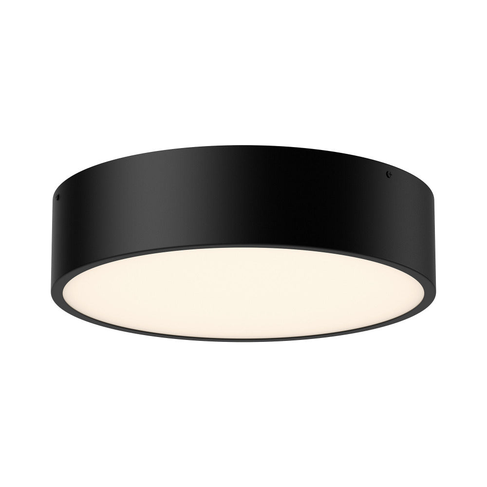 Kathy Fush Mount, Ceiling Mount, Black